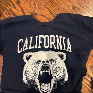 Brandy Melville cropped top